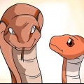 Escolhendo uma cobra como animal de estimação