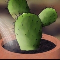 Salvando um cacto moribundo