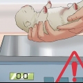 Salvando um cachorrinho recém-nascido moribundo