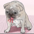 Salvando um cachorro engasgado