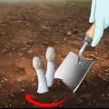 Mate um fungo fedorento