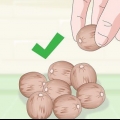Cultivando uma planta de chá