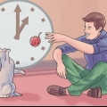 Pegue um segundo gato e não perturbe o gato velho