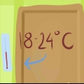 Cultivando uma samambaia dentro de casa
