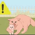 Pegando um gatinho perdido