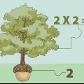 Calculando uma raiz quadrada sem uma calculadora