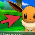 Eevee eevee em espeon ou umbreon