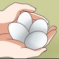 Pasteurização de ovos