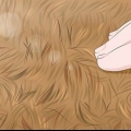 Remover larvas