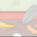 Jogar fora comida