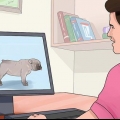 Criação com cães