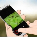Enviar fotos por e-mail com um smartphone