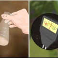 Fertilize árvores frutíferas