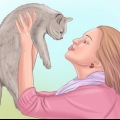 Demonstrando afeto a um gato