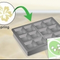 Gerberas em crescimento