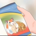 Alimentando hamsters