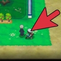 Treinando o ev do seu pokémon