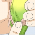 Determinando o sexo de um periquito