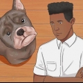 Como fazer a orelha de um cão parar de sangrar