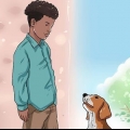 Ganhar a confiança de um cão