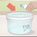Mudando a água em um aquário de água doce