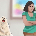 Como fazer os cães pararem de uivar