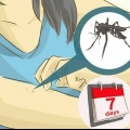 Cuidando de alguém com dengue