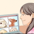Esqueceu algo terrível que você viu na internet