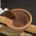 Cultivo de jasmim em vaso
