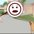 Superando o medo de cachorros