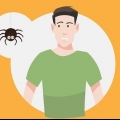 Supere seu medo de aranhas