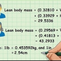 Determinando sua massa seca
