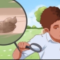 Verificando sua saúde pela cor do cocô e das fezes