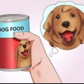 Faça seu cachorro engolir um comprimido