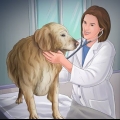 Ajudando seu cão depois que ele deu à luz