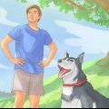 Ensinando seu cachorro a andar a pé