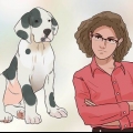 Treinando seu cão para não fugir