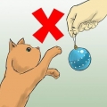 Protegendo sua árvore de natal dos gatos