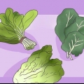 Alimentando seu coelho com a comida verde certa