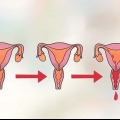 Determine o seu dia mais fértil para engravidar