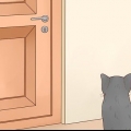 Mantenha os gatos fora de um quarto