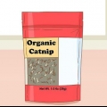 Dando catnip para seu gato
