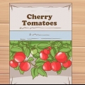 Crescendo tomates cereja