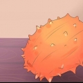 Comer kiwano