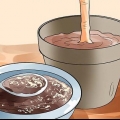 Usando borra de café em seu jardim