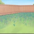 Cultivo de pepinos