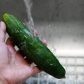 Fazendo água de pepino