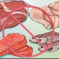 Torne-se um ovo-lacto vegetariano