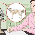 Aprenda a desenhar sem aulas
