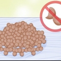 Cultivo de lentilhas
